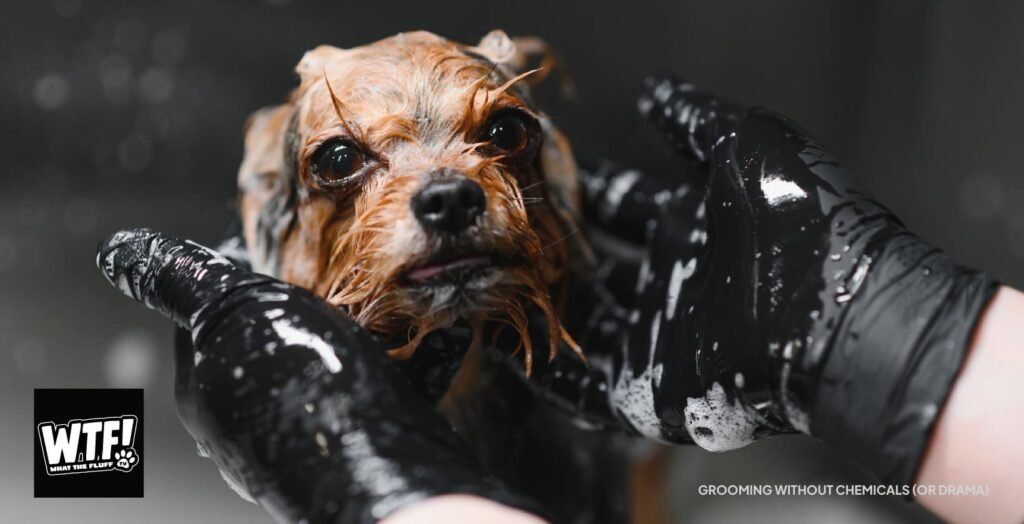 Small dog being washed with natural shampoo