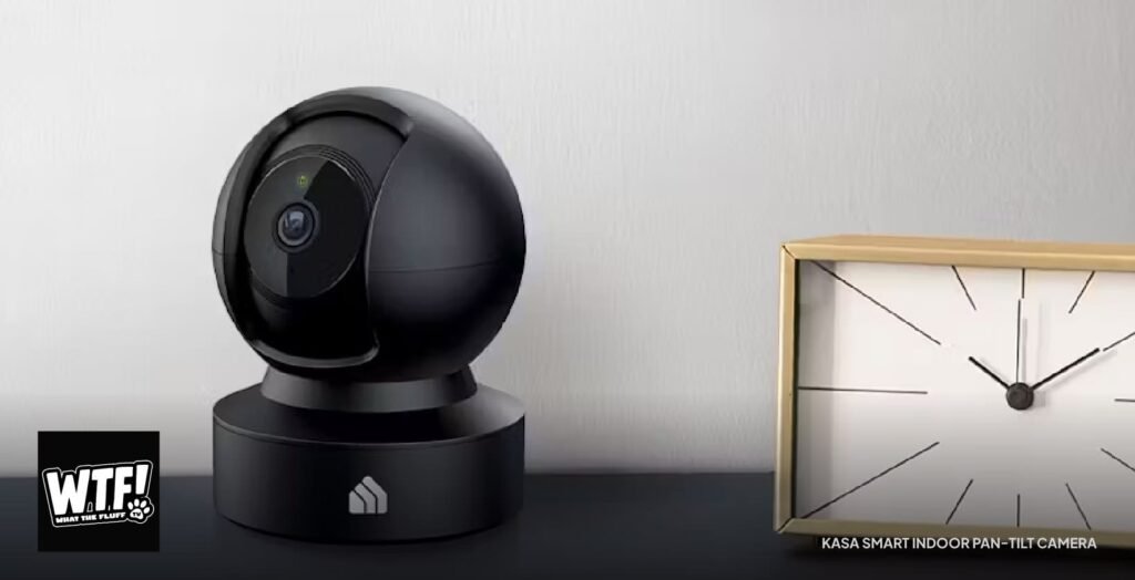 Cameras and Top Must Have Gadgets for Modern Pet Owners