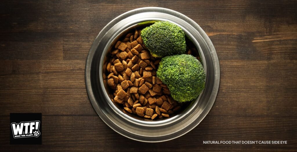 Top view of dog food with two broccoli cuts