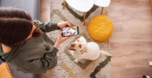 Gadgets for pet owners