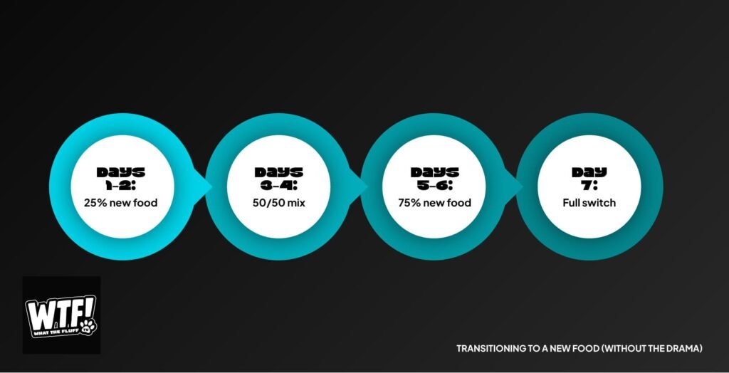 Infographic showing how to transition your pet to natural food