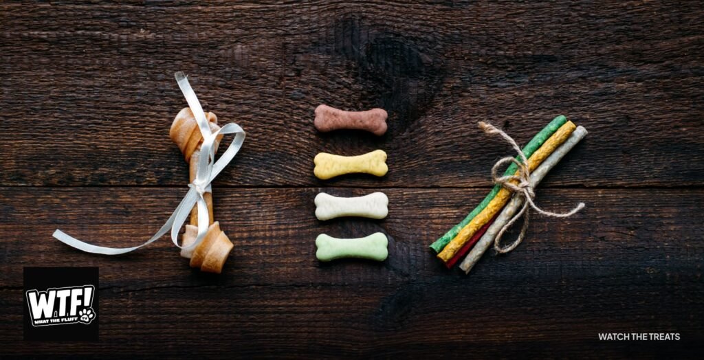 Top view of pet snacks on a table
