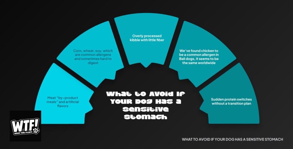 Infographic showing what to avoid if your dog has a sensitive stomach