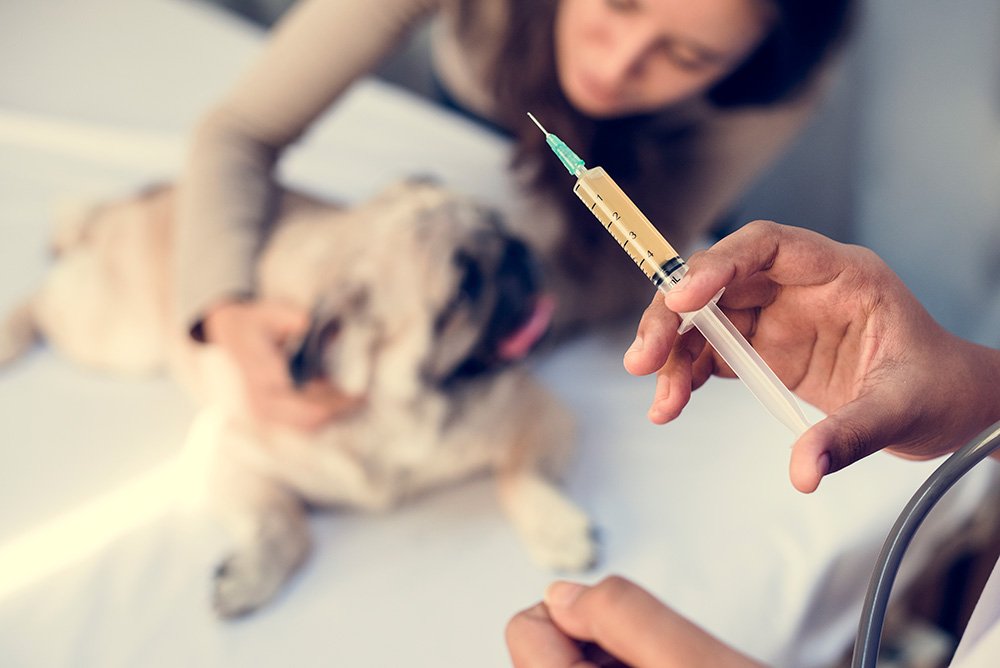 Helping with vaccines and medicine